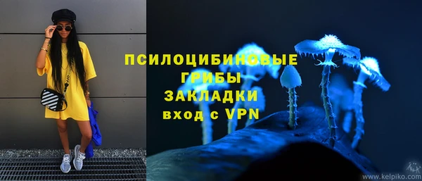 бошки Бугульма