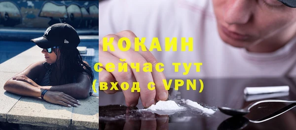 ешки Бронницы