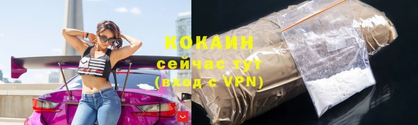 мет Бородино
