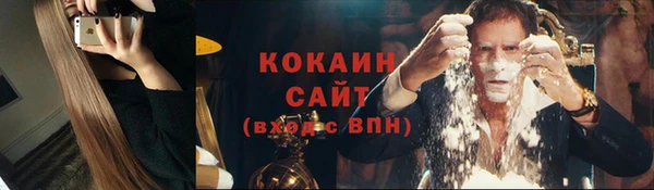 мет Бородино