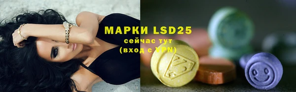 мет Бородино