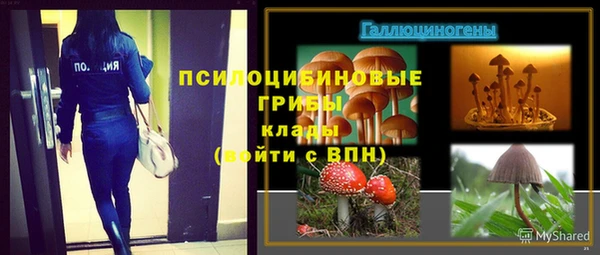 бошки Бугульма